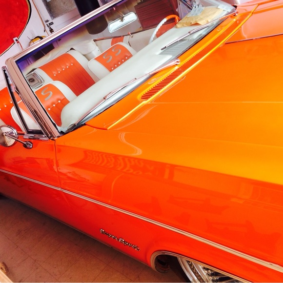 Meet your Posher, Leonardo - Picture 5 of 5